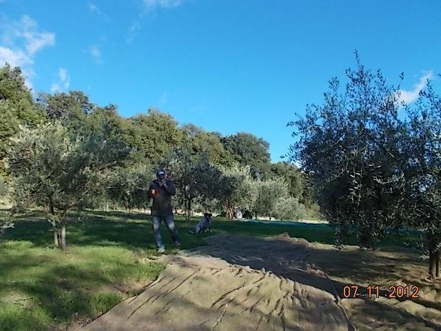 Agriturismo Le Vergare Offagna Εξωτερικό φωτογραφία